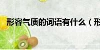 形容气质的词语有什么(形容气质的词语)