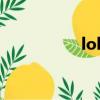 lolnoc是谁（lolnoc）