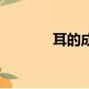 耳的成语接龙（有耳的成语）