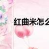 红曲米怎么吃效果好（红曲米怎么吃）