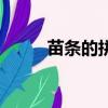 苗条的拼音怎么写的（苗条读音）