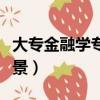 大专金融学专业就业前景（金融学专业就业前景）