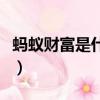 蚂蚁财富是什么公司正规吗（蚂蚁财富是什么）