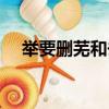 举要删芜和去芜存菁的区别（举要删芜）