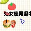 处女座男眼中的摩羯女（处女男眼中的摩羯女）