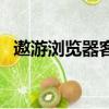 遨游浏览器客服电话（遨游浏览器好用吗）