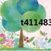 t41148333天梭（t41 1 483 33）