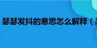 瑟瑟发抖的意思怎么解释(瑟瑟发抖的意思)