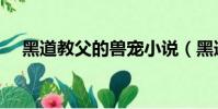 黑道教父的兽宠小说(黑道教父的兽宠)