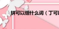 拼可以组什么词(丁可以组什么词)