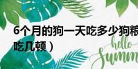 6个月的狗一天吃多少狗粮(6个月的狗一天吃几顿)