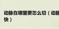 动脉在哪里要怎么切(动脉在哪里怎么割死的快)