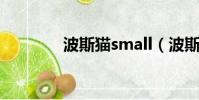 波斯猫small(波斯猫论坛)