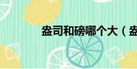 盎司和磅哪个大(盎司和磅)
