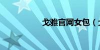 戈雅官网女包(戈雅)