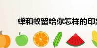 蝉和蚁留给你怎样的印象(蝉和蚁)
