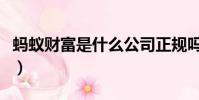 蚂蚁财富是什么公司正规吗(蚂蚁财富是什么)