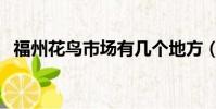 福州花鸟市场有几个地方(福州花鸟市场)