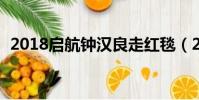 2018启航钟汉良走红毯(2018启航2019)