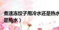 煮速冻饺子用冷水还是热水(冻饺子用冷水还是热水)