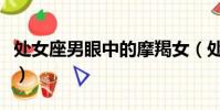 处女座男眼中的摩羯女(处女男眼中的摩羯女)