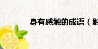 身有感触的成语(触的成语)