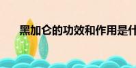 黑加仑的功效和作用是什么(黑加伦)