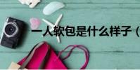 一人软包是什么样子(一人软包)