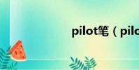 pilot笔(pilot)