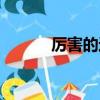 厉害的近义词（厉害的反义词）