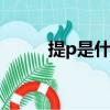 提p是什么意思（tip是什么意思）
