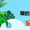 鞭的笔顺笔画（鞭的笔顺）