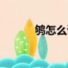 鸲怎么读什么意思（鸲怎么读）