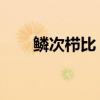 鳞次栉比 的拼音（鳞次栉比的拼音）