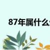 87年属什么生肖婚配（87年属什么生肖）