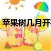 苹果树几月开花什么颜色（苹果树几月开花）