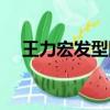 王力宏发型图片高清（王力宏发型图片）