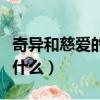 奇异和慈爱的反义词是什么（慈爱的反义词是什么）