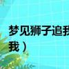 梦见狮子追我到处躲藏什么意思（梦见狮子追我）