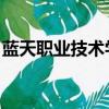 蓝天职业技术学院 毕业证（蓝天学院毕业证）