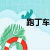 跑丁车app查询车主（跑丁车）