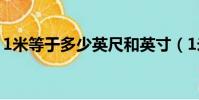 1米等于多少英尺和英寸(1米等于多少英尺)