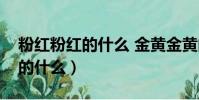 粉红粉红的什么 金黄金黄的什么(金黄金黄的什么)