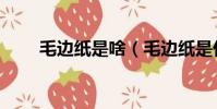 毛边纸是啥(毛边纸是什么样子的)