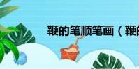 鞭的笔顺笔画(鞭的笔顺)
