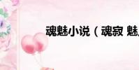 魂魅小说(魂寂 魅上龙皇)