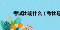 考试比喻什么(考比是什么感觉)