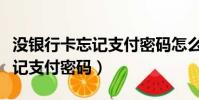 没银行卡忘记支付密码怎么办呢(没银行卡忘记支付密码)