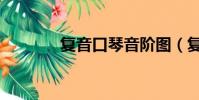 复音口琴音阶图(复音口琴)