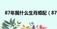 87年属什么生肖婚配(87年属什么生肖)